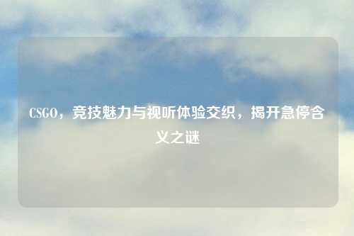 CSGO，竞技魅力与视听体验交织，揭开急停含义之谜