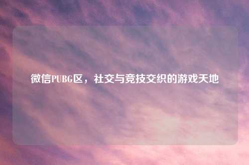 微信PUBG区，社交与竞技交织的游戏天地