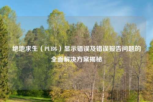 绝地求生（PUBG）显示错误及错误报告问题的全面解决方案揭秘