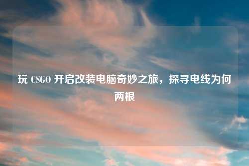 玩 CSGO 开启改装电脑奇妙之旅，探寻电线为何两根