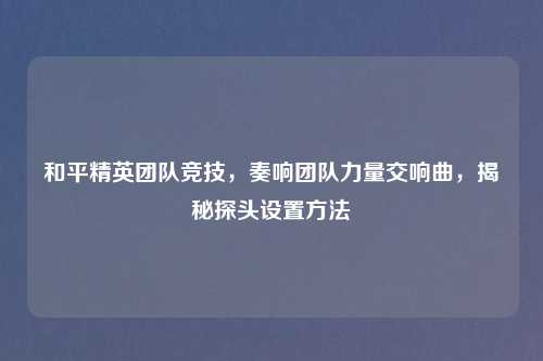 和平精英团队竞技，奏响团队力量交响曲，揭秘探头设置     