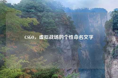 CSGO，虚拟战场的个性命名文字