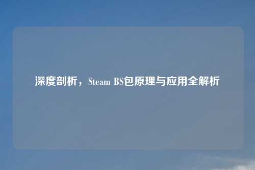 深度剖析，Steam BS包原理与应用全解析