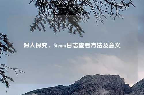 深入探究，Steam日志查看     及意义