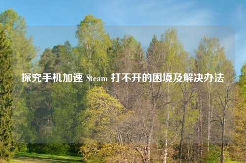 探究手机加速 Steam 打不开的困境及解决办法