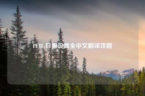 PUBG日服设置全中文翻译攻略
