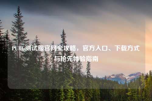 PUBG测试服官网全攻略，官方入口、下载方式与抢先体验指南