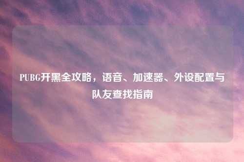 PUBG开黑全攻略，语音、加速器、外设配置与队友查找指南