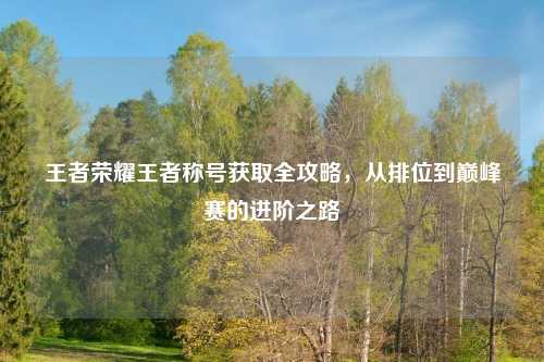 王者荣耀王者称号获取全攻略，从排位到巅峰赛的进阶之路