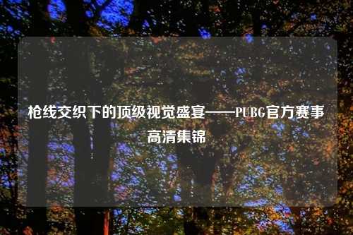枪线交织下的顶级视觉盛宴——PUBG官方赛事高清集锦