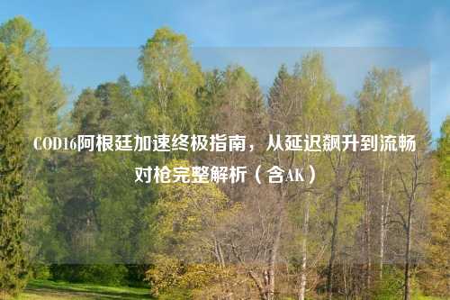 COD16阿根廷加速终极指南，从延迟飙升到流畅对枪完整解析（含AK）