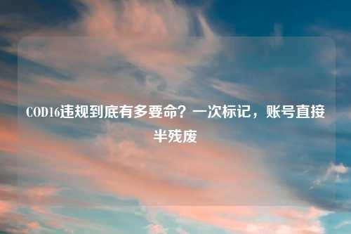 COD16违规到底有多要命？一次标记，账号直接半残废