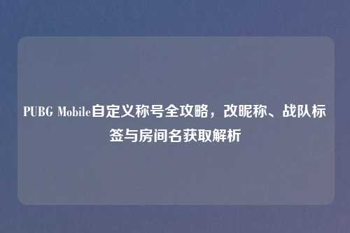 PUBG Mobile自定义称号全攻略，改昵称、战队标签与房间名获取解析