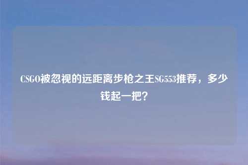 CSGO被忽视的远距离步枪之王SG553推荐，多少钱起一把？
