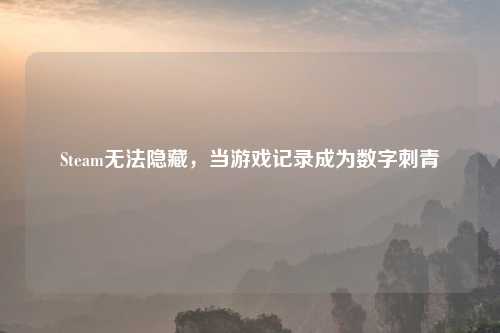 Steam无法隐藏，当游戏记录成为数字刺青
