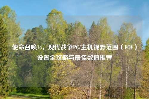 使命召唤16，现代战争PC/主机视野范围（FOV）设置全攻略与更佳数值推荐