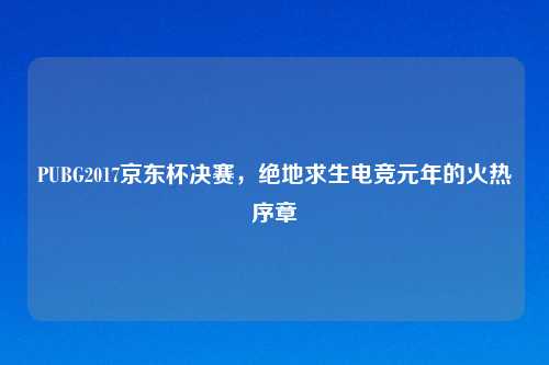 PUBG2017京东杯决赛，绝地求生电竞元年的火热序章