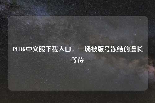 PUBG中文服下载入口，一场被版号冻结的漫长等待