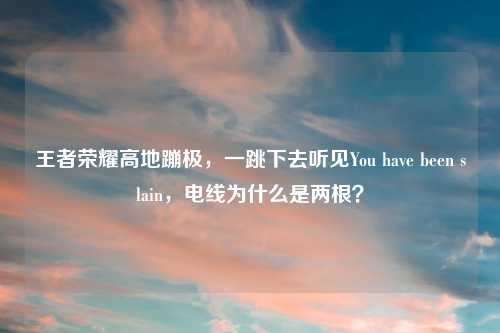 王者荣耀高地蹦极，一跳下去听见You have been slain，电线为什么是两根？