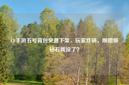 CF手游五号背包突遭下架，玩家炸锅，刚攒够钻石就没了？