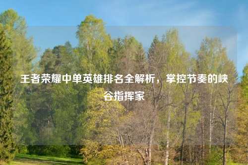 王者荣耀中单英雄排名全解析，掌控节奏的峡谷指挥家