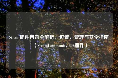 Steam插件目录全解析，位置、管理与安全指南（SteamCommunity 302插件）