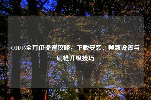 COD16全方位提速攻略，下载安装、帧数设置与刷枪升级技巧