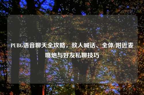 PUBG语音聊天全攻略，敌人喊话、全体/附近麦嘴炮与好友私聊技巧