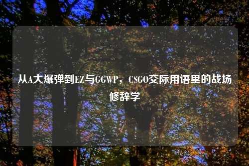 从A大爆弹到EZ与GGWP，CSGO交际用语里的战场修辞学