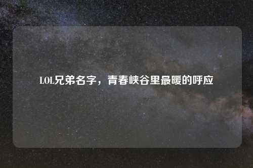 LOL兄弟名字，青春峡谷里最暖的呼应