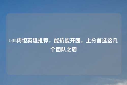 LOL肉坦英雄推荐，能抗能开团，上分首选这几个团队之盾