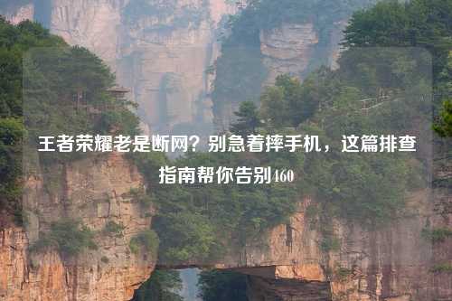 王者荣耀老是断网？别急着摔手机，这篇排查指南帮你告别460
