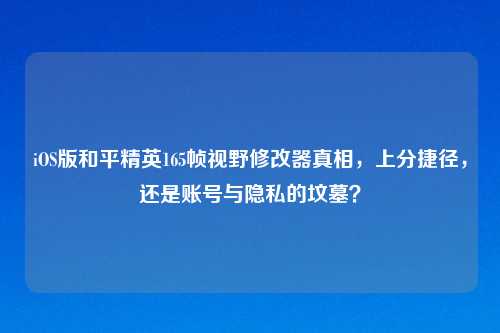 iOS版和平精英165帧视野修改器真相，上分捷径，还是账号与隐私的坟墓？