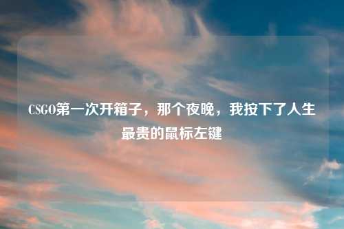 CSGO之一次开箱子，那个夜晚，我按下了人生最贵的鼠标左键