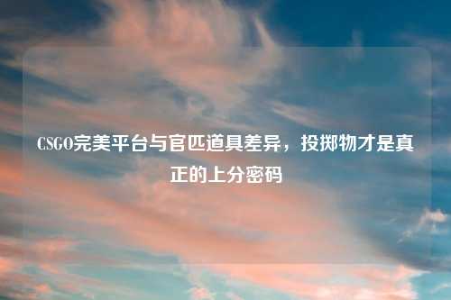 CSGO完美平台与官匹道具差异，投掷物才是真正的上分密码