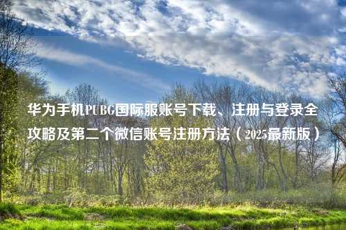 华为手机PUBG国际服账号下载、注册与登录全攻略及第二个微信账号注册     （2025最新版）