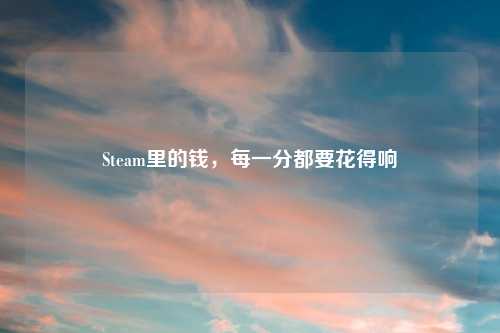 Steam里的钱，每一分都要花得响