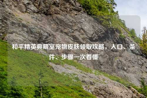 和平精英典藏室宠物皮肤领取攻略，入口、条件、步骤一次看懂