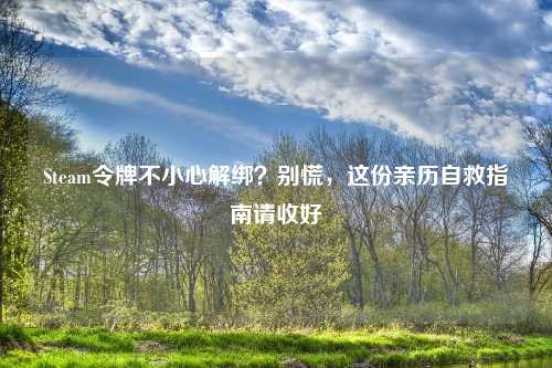 Steam令牌不小心解绑？别慌，这份亲历自救指南请收好