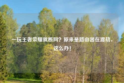 一玩王者荣耀就断网？原来是路由器在渡劫，这么办！