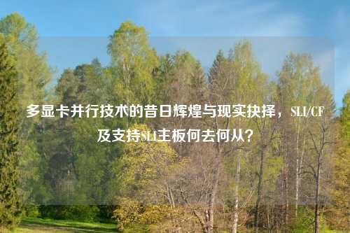 多显卡并行技术的昔日辉煌与现实抉择，SLI/CF及支持SLI主板何去何从？