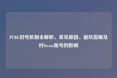 PUBG封号机制全解析，常见原因、避坑指南及对Steam账号的影响