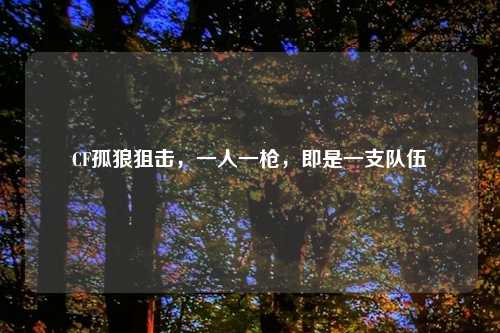 CF孤狼狙击,一人一枪,即是一支队伍