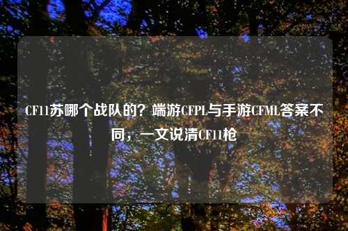 CF11苏哪个战队的?端游CFPL与手游CFML答案不同,一文说清CF11枪