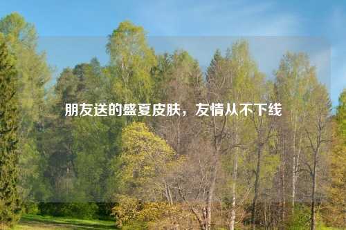 朋友送的盛夏皮肤，友情从不下线