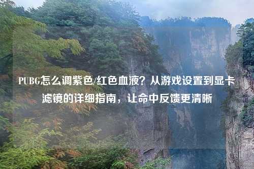 PUBG怎么调紫色/红色血液？从游戏设置到显卡滤镜的详细指南，让命中反馈更清晰
