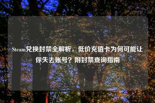 Steam兑换封禁全解析，低价充值卡为何可能让你失去账号？附封禁查询指南