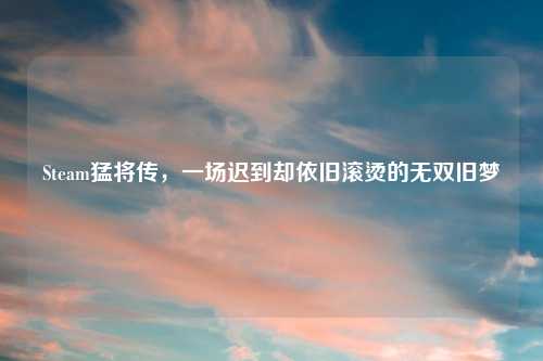 Steam猛将传，一场迟到却依旧滚烫的无双旧梦