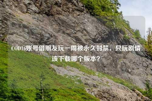COD16账号借朋友玩一周被永久封禁，只玩剧情该下载哪个版本？