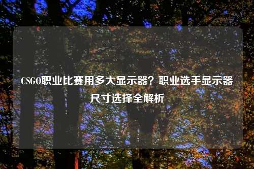 CSGO职业比赛用多大显示器？职业选手显示器尺寸选择全解析